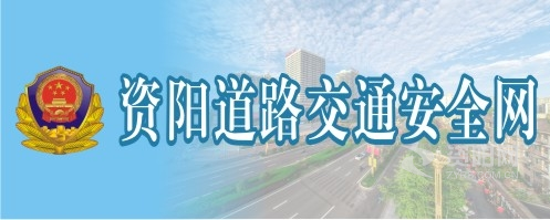 日屁股日屄屄资阳道路交通安全网